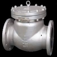 Flanged Carbon Steel Check Valve